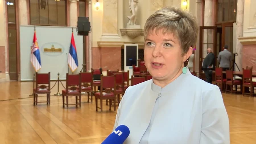 Kovač: A set of media and electoral laws and the election of the REM may occur by mid-June.