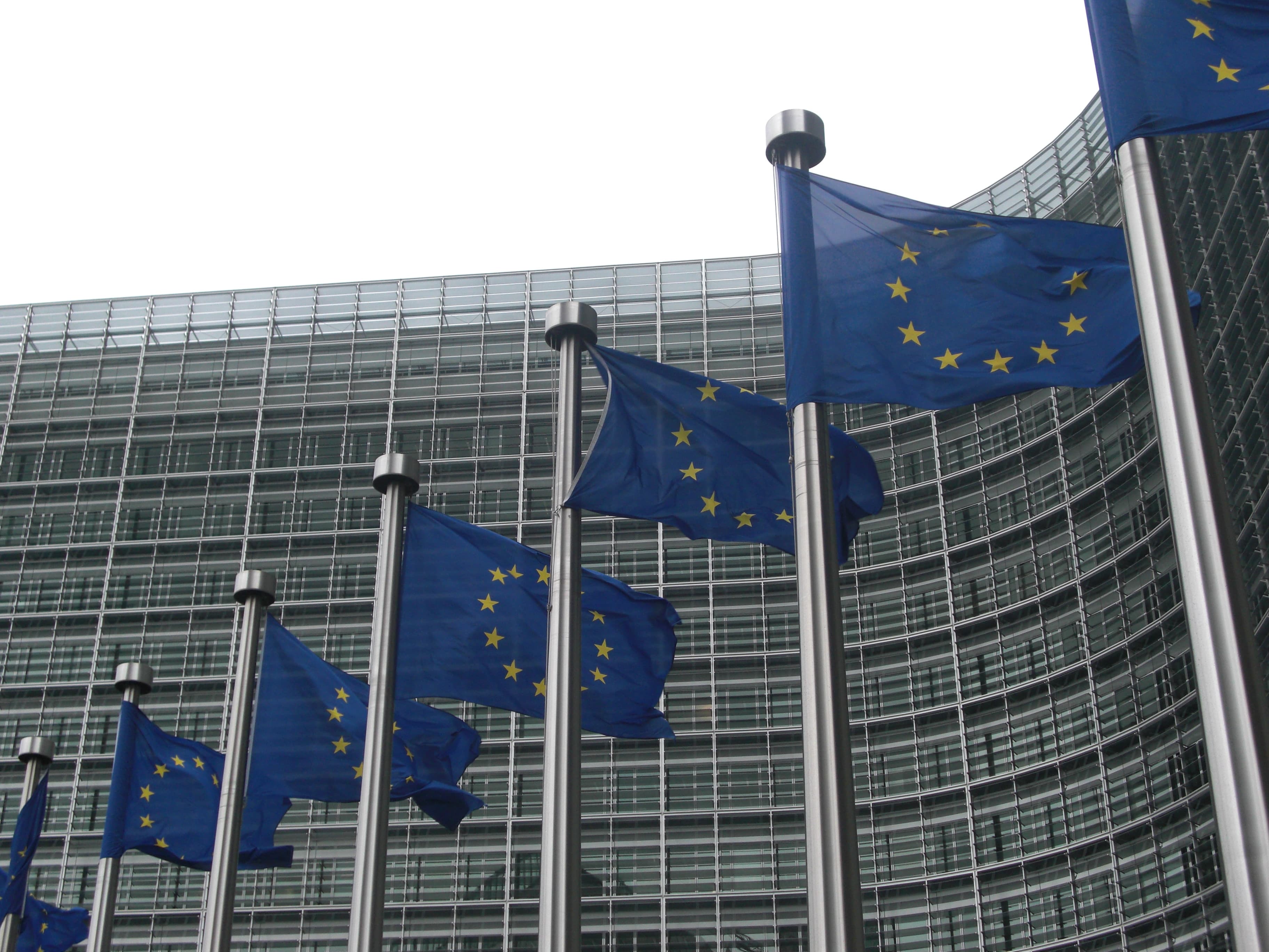EU on the Rule of Law in Serbia: Delays and deficiencies in the selection of the REM Council undermine public trust in the process.