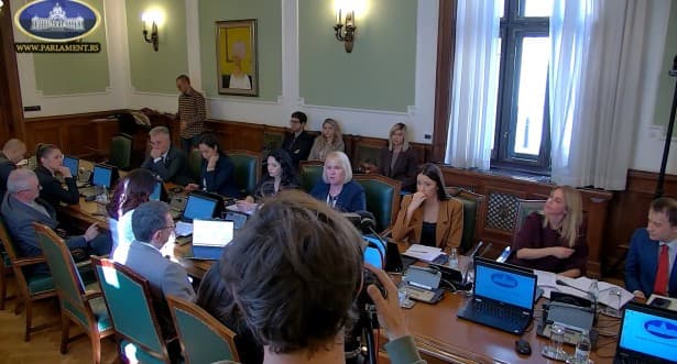 The Committee for Culture and Information adopted the list of authorized proposers and candidates for members of the Regulatory Authority for Electronic Media (REM) for the remaining two categories.